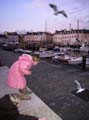 port_Vannes04